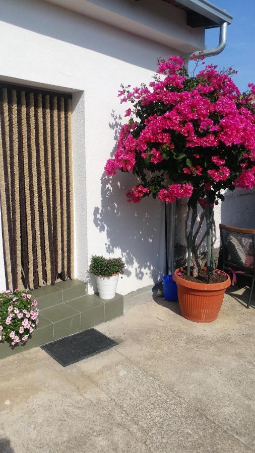 Pipi Apartment *